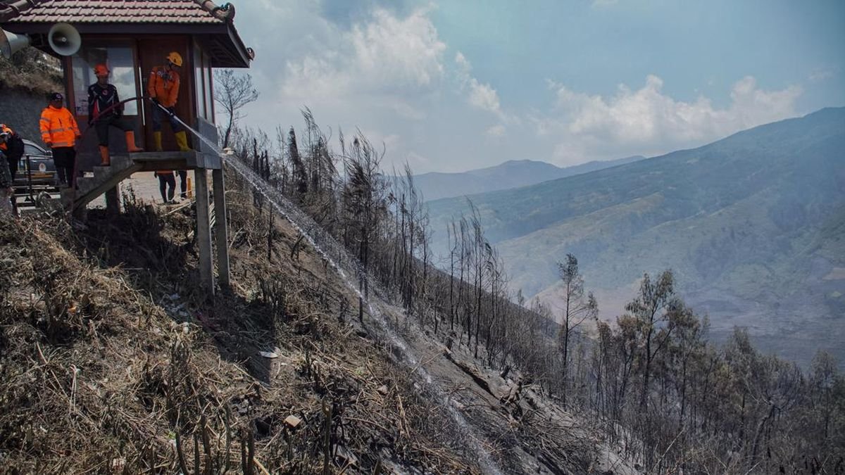 Kebakaran Hutan di Jawa Timur: Upaya Pemadaman dan Penutupan Wisata