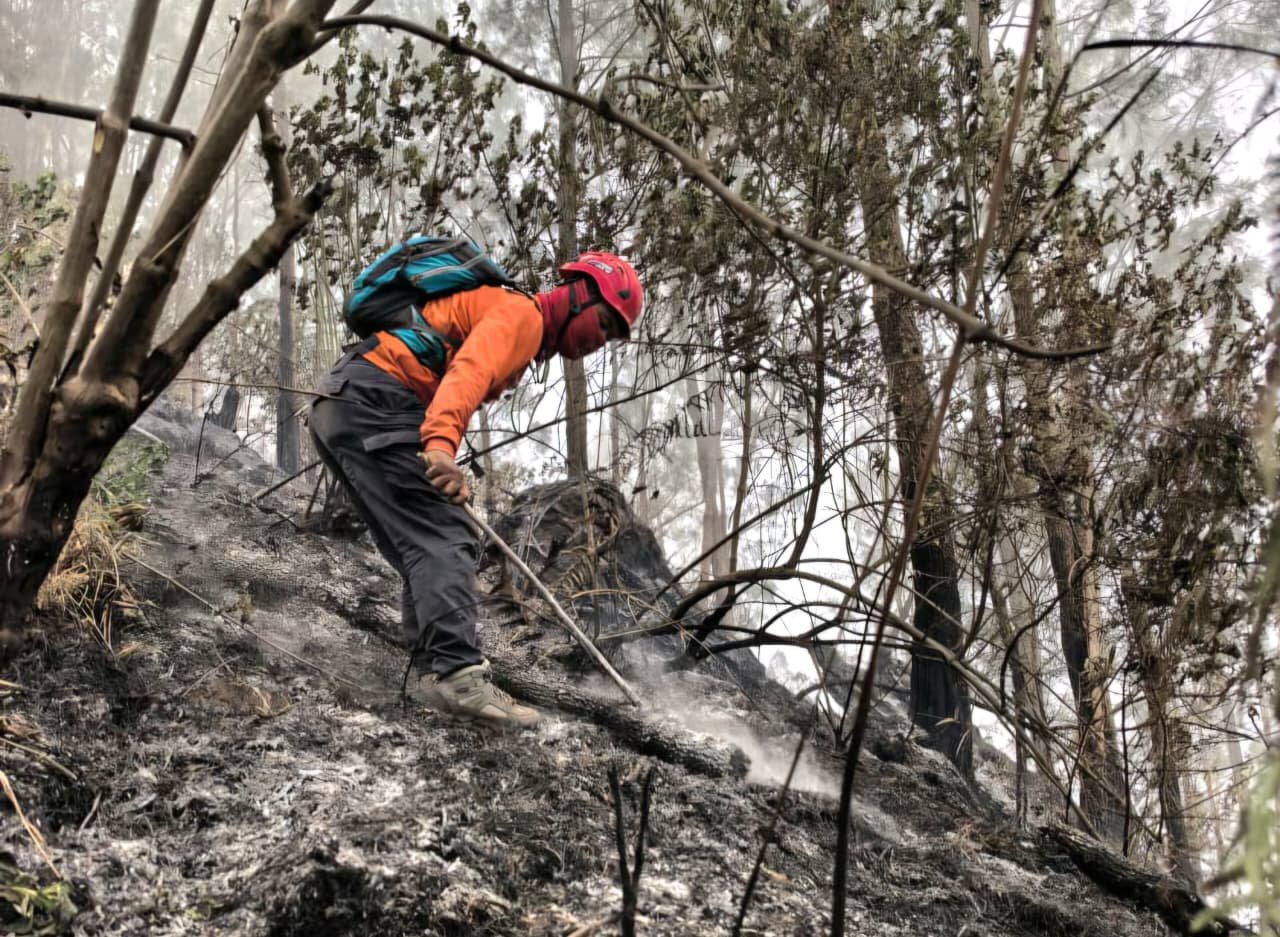 Kebakaran Hutan di Malang dan Blitar: Sebuah Tinjauan Mendalam