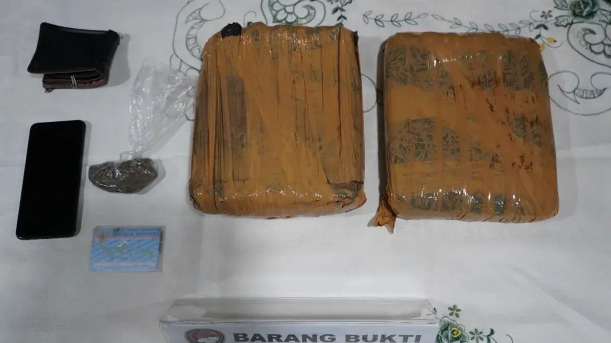 Penangkapan Pengedar Ganja di Duren Sawit Penangkapan Pengedar Ganja di Duren Sawit