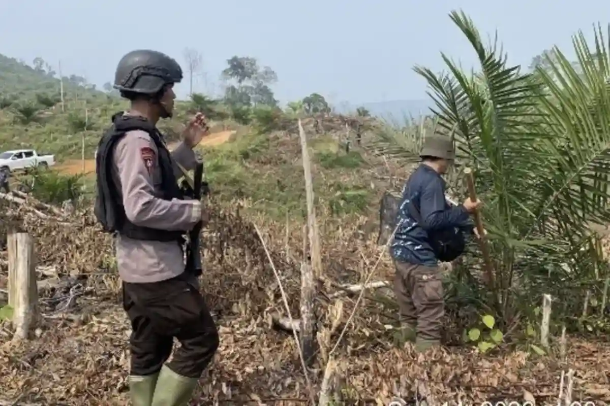 Pencapaian Kementerian Kehutanan dalam Penguasaan Kawasan Koridor Gajah