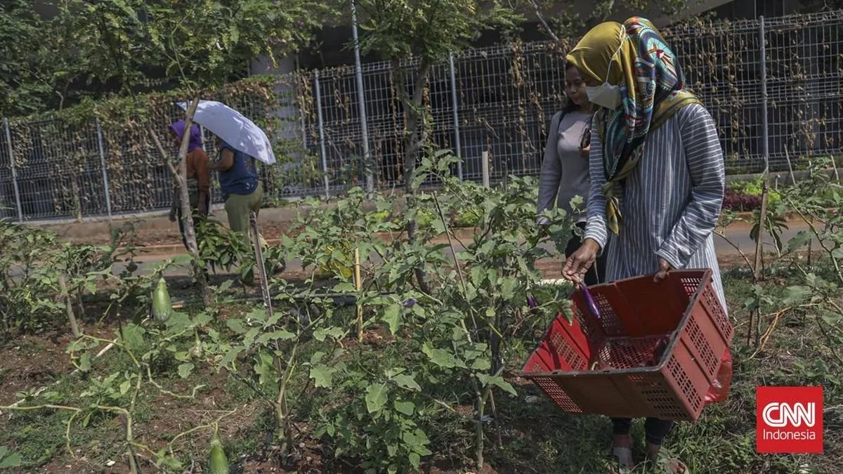 Masyarakat Kampung Bayam Bertani dalam Kehidupan Baru di Rusun Masyarakat Kampung Bayam Bertani dalam Kehidupan Baru di Rusun