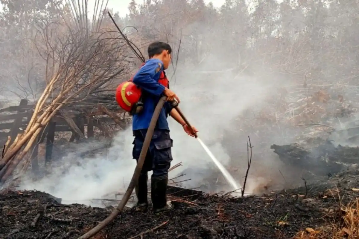 Kementerian Kehutanan Tindak Tegas Terhadap Kasus Kebakaran Hutan Kementerian Kehutanan Tindak Tegas Terhadap Kasus Kebakaran Hutan