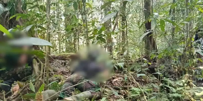 Tiga Anggota OPM Dilaporkan Meninggal Setelah Kontak Tembak di Maybrat