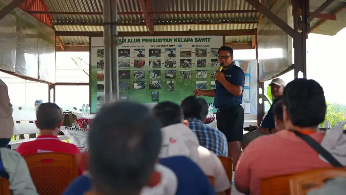 Menelusuri Praktik Pembenihan Kelapa Sawit dalam Kunjungan ke Pembibitan Dami Mas