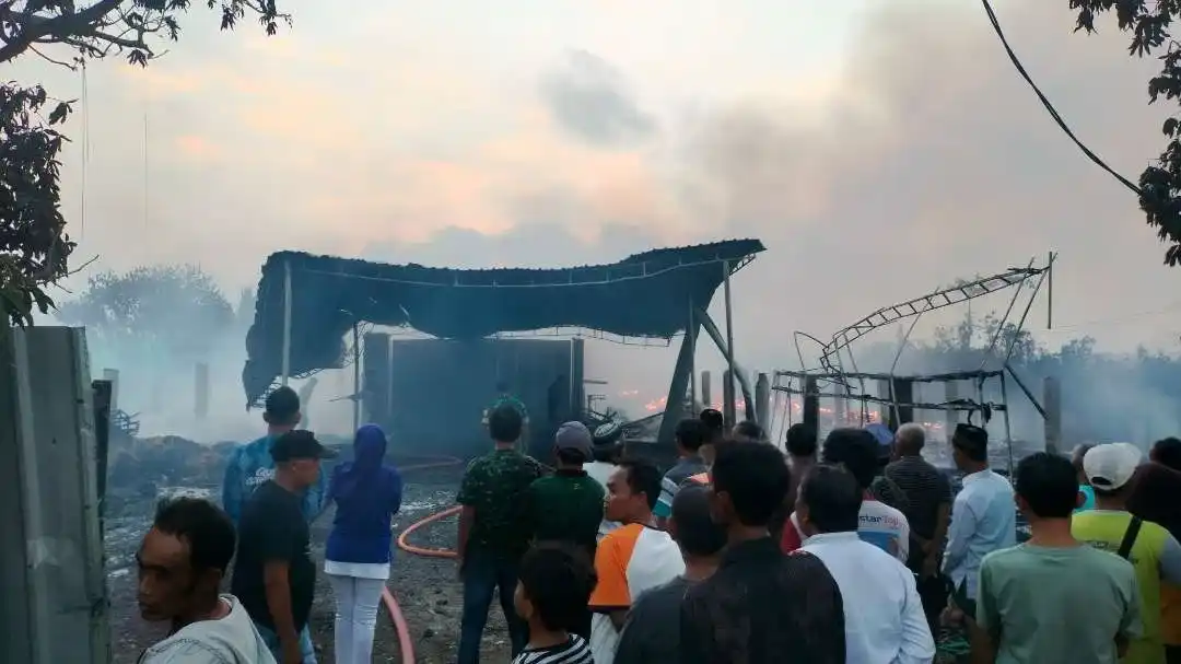 Peternakan Ayam Kebakaran: 28 ribu Ekor Ayam Mati Terpanggang, Kerugian Rp2,5 miliar Peternakan Ayam Kebakaran: 28 ribu Ekor Ayam Mati Terpanggang, Kerugian Rp2,5 miliar