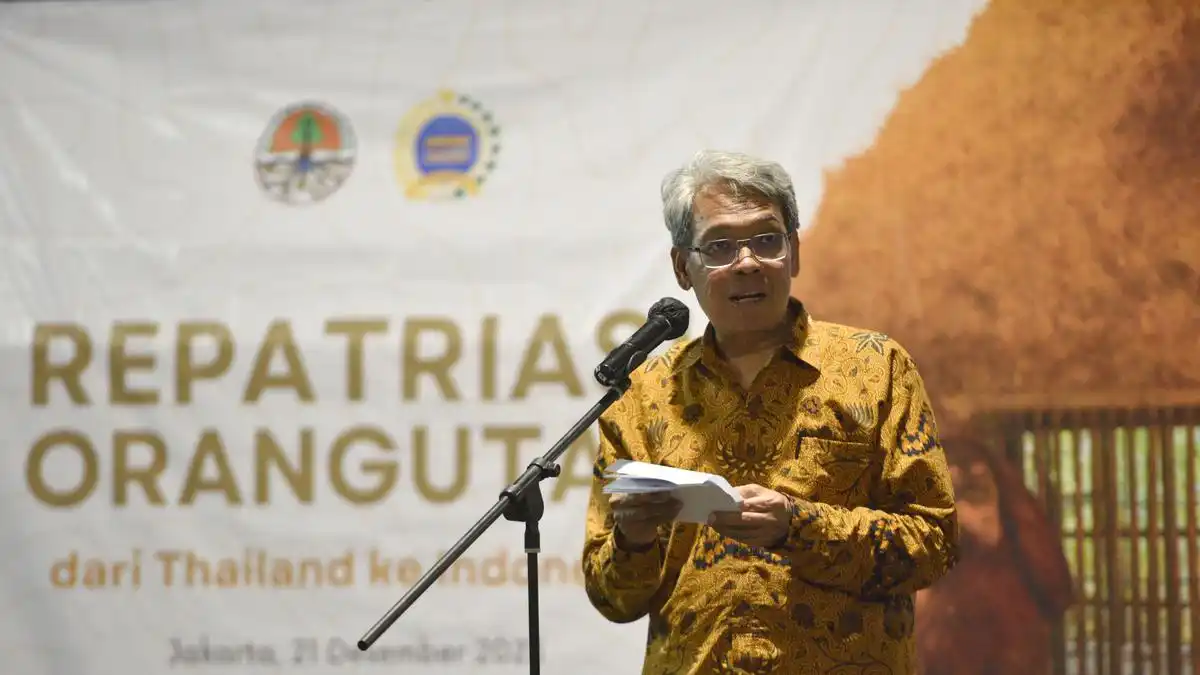 Satyawan Pudyatmoko Dipersiapkan Memimpin Badan Pengelolaan Gambut dan Mangrove Nasional Satyawan Pudyatmoko Dipersiapkan Memimpin Badan Pengelolaan Gambut dan Mangrove Nasional