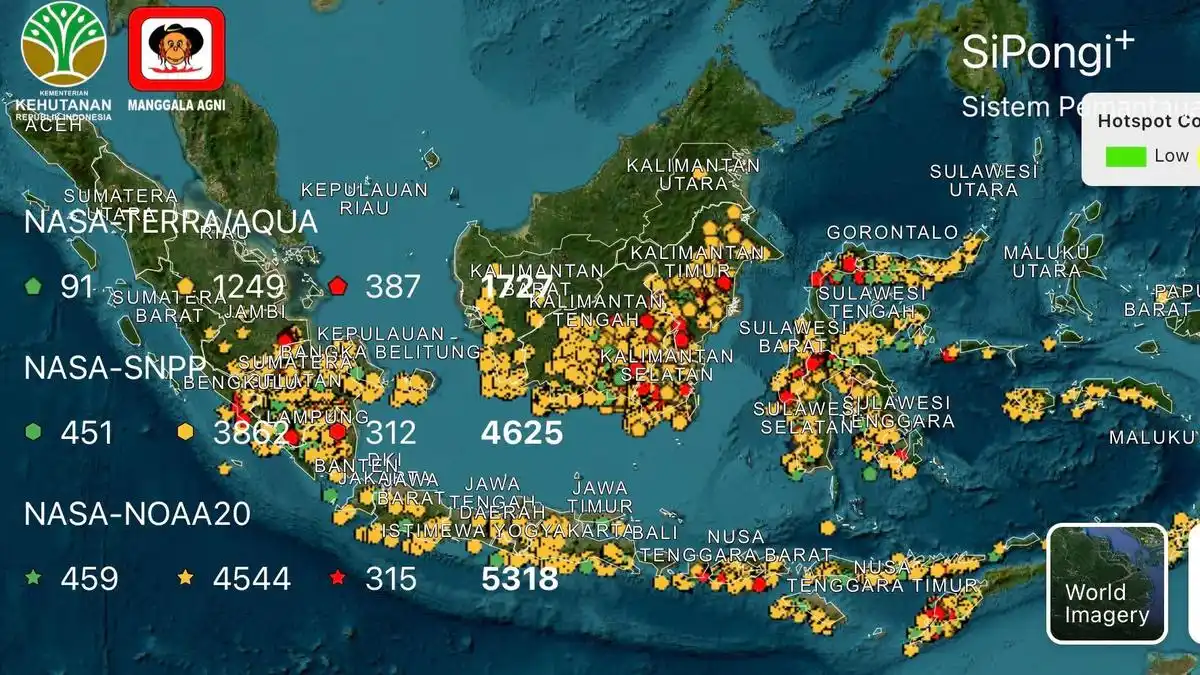 Karhutla Kalteng dan Sumsel Meluas, BNPB Catat Ratusan Hektare Terbakar