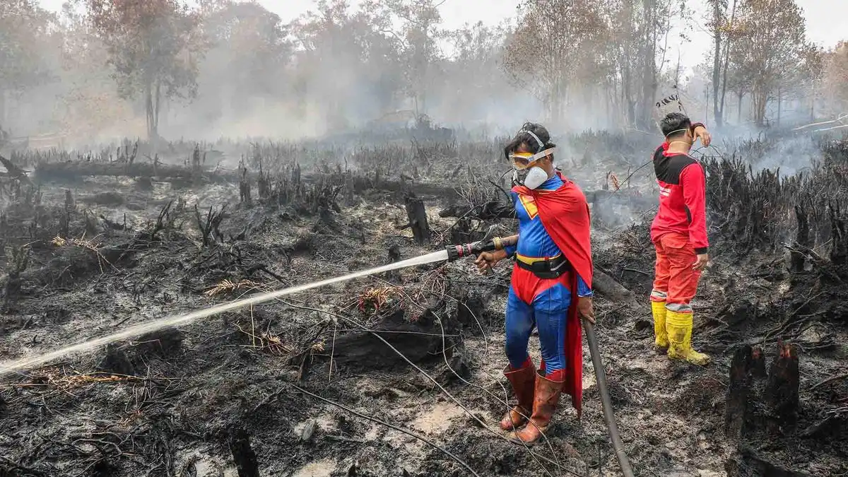 Pemerintah Kerahkan Kekuatan Gabungan dan Segel 68 Konsesi dalam Penanganan Karhutla