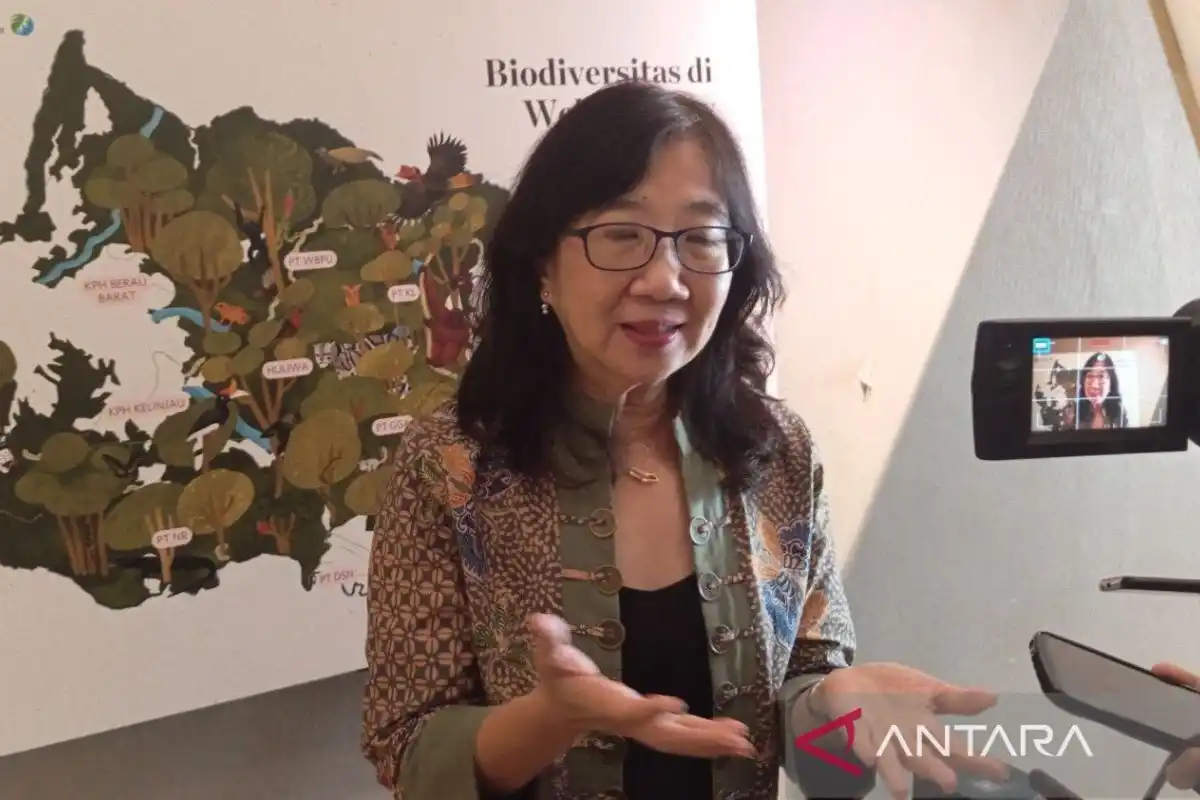 Wehea-Kelay dan Arah Baru Pengelolaan Hutan Berkelanjutan di Kalimantan Timur Wehea-Kelay dan Arah Baru Pengelolaan Hutan Berkelanjutan di Kalimantan Timur