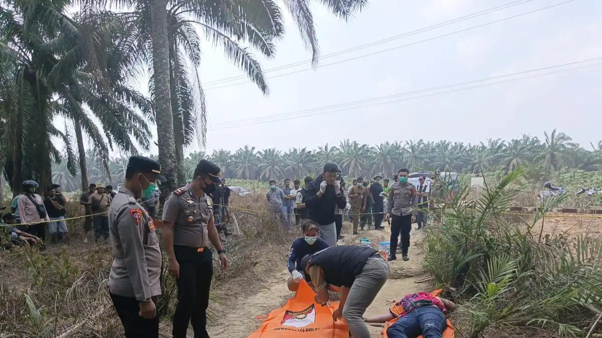 Polisi Dalami Penyebab Kematian Yulia yang Ditemukan di Perkebunan Sawit Mesuji Polisi Dalami Penyebab Kematian Yulia yang Ditemukan di Perkebunan Sawit Mesuji