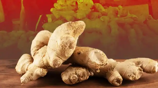 Jahe Menjadi Komoditas Biofarmaka dengan Produksi Tertinggi di Indonesia pada 2025