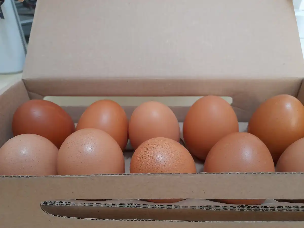 Kementan Tetapkan Harga Minimum Telur untuk Dapur MBG Rp 26.500 per Kilogram
