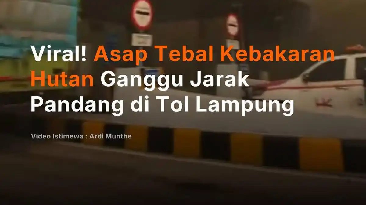 Asap Kebakaran Lahan Ganggu Pandangan di Tol Terpeka, Api Masih Tersisa Asap Kebakaran Lahan Ganggu Pandangan di Tol Terpeka, Api Masih Tersisa