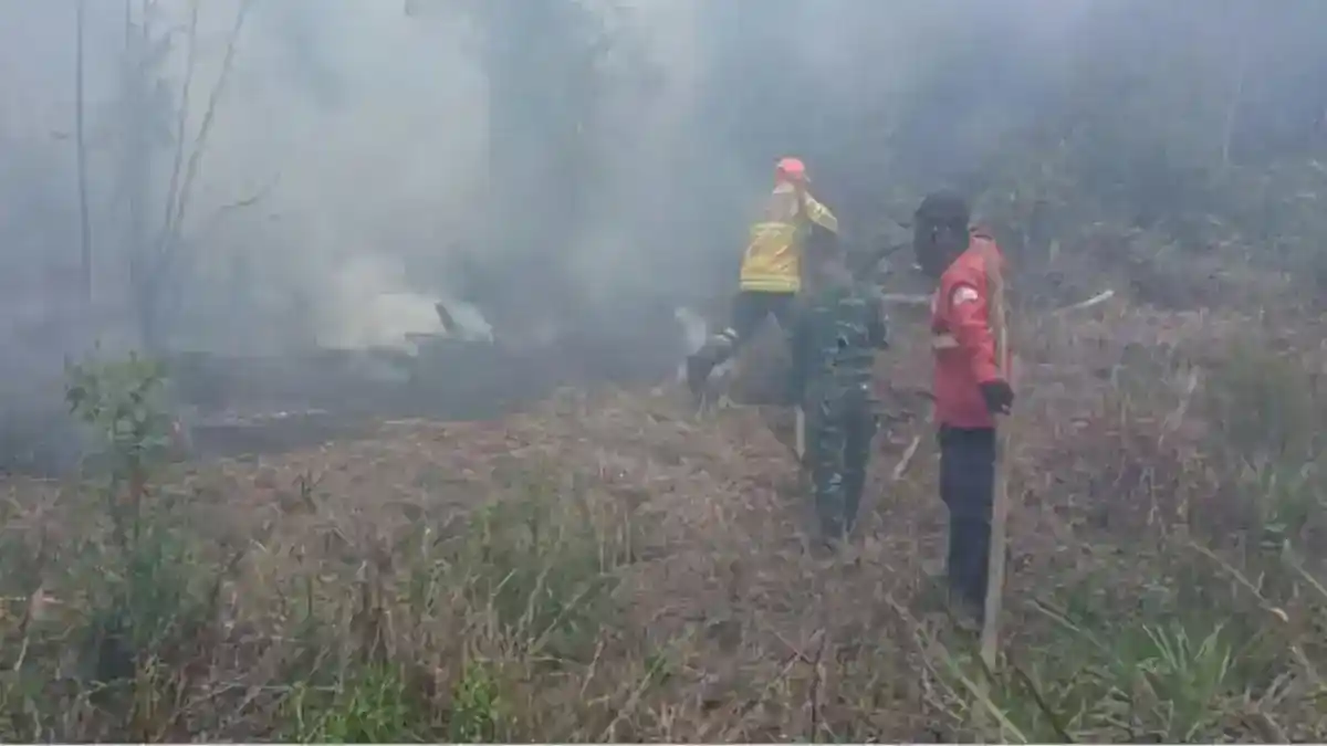 Hasto Soroti Tata Ruang dan Penegakan Hukum dalam Kebakaran Hutan Berulang