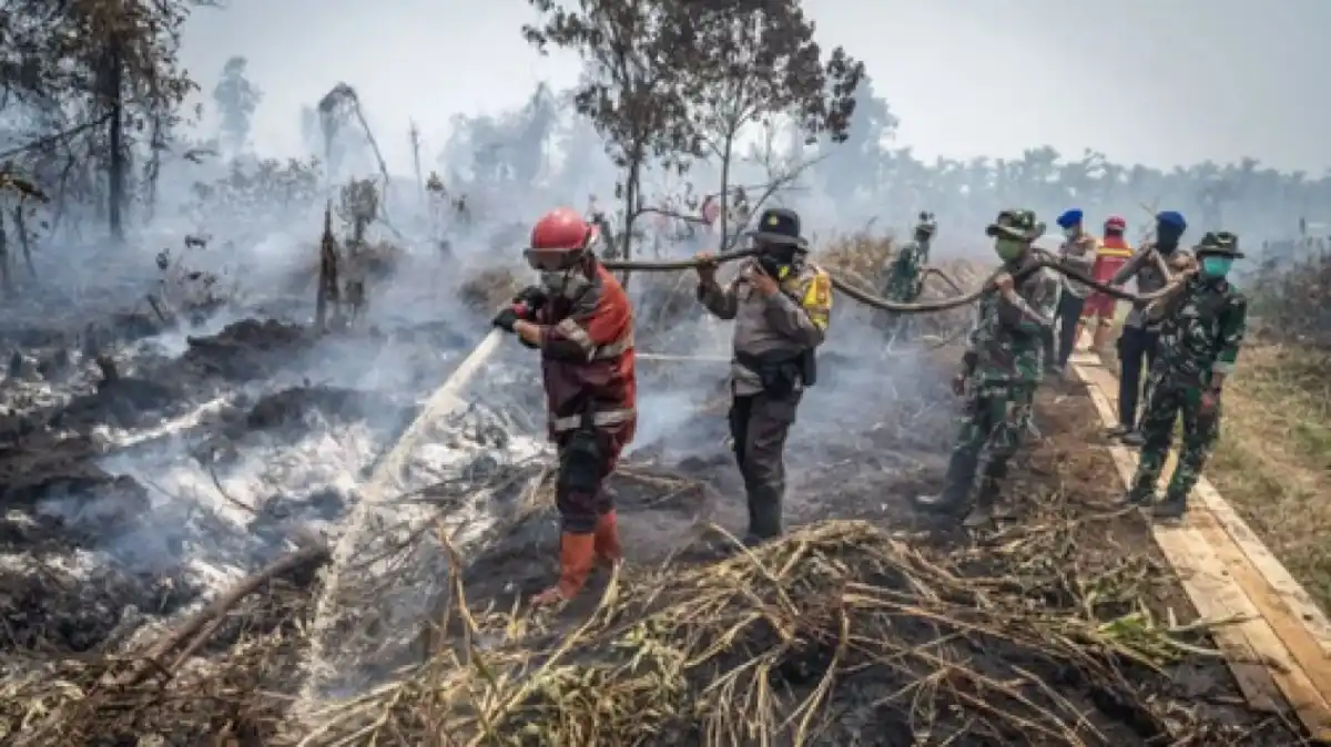Penanganan Karhutla di Kotawaringin Timur: Dukungan Dana dan Strategi Pemadaman