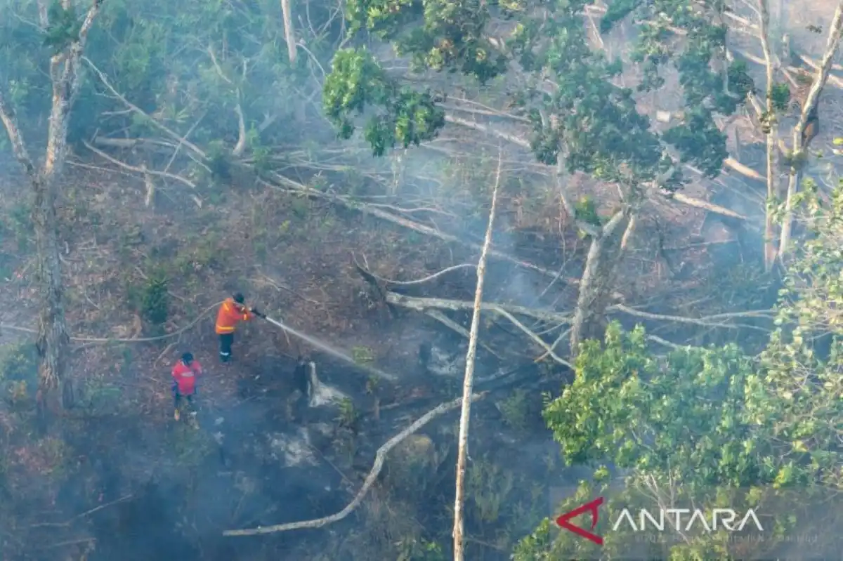 Karhutla di Indonesia: Mengapa Pencegahan Harus Mendahului Pemadaman