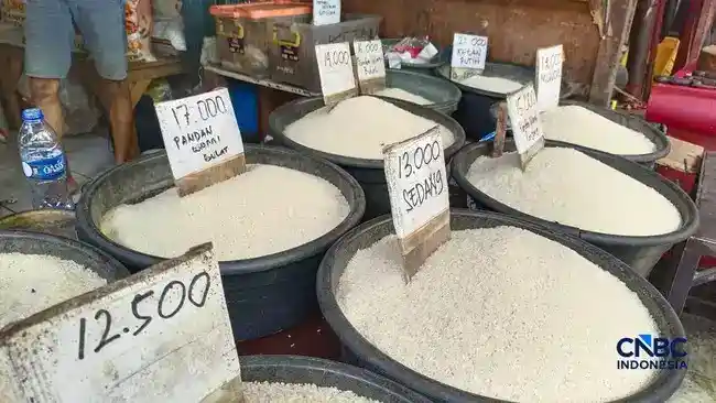 Pemerintah Bahas Pemanfaatan Beras Pecah untuk Kebutuhan Industri