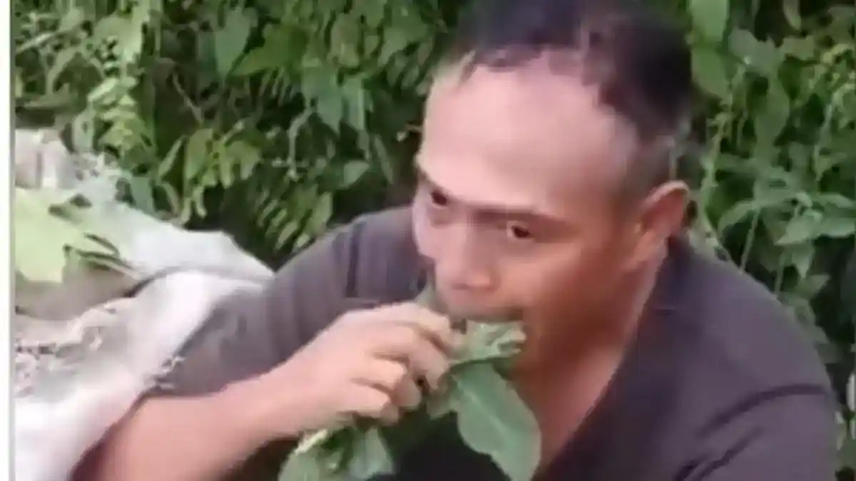 Dua Pria Diduga Ambil Daun Pepaya di Deli Serdang, Polisi Klarifikasi Peristiwa Viral Dua Pria Diduga Ambil Daun Pepaya di Deli Serdang, Polisi Klarifikasi Peristiwa Viral
