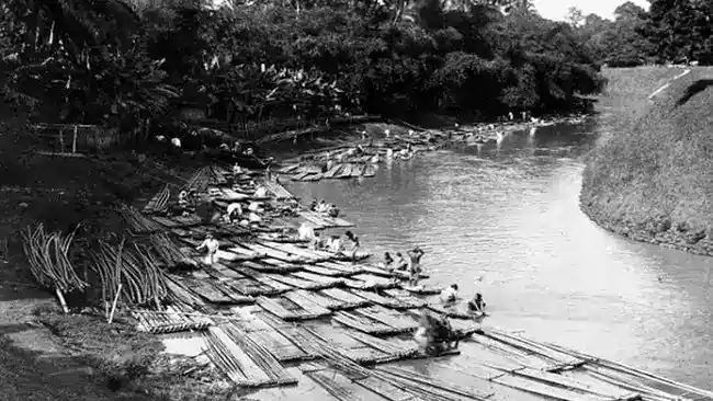 Geger Pecinan 1740: Ketakutan, Perlawanan, dan Pembantaian di Batavia Geger Pecinan 1740: Ketakutan, Perlawanan, dan Pembantaian di Batavia