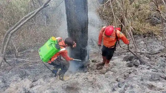 BNPB Pantau Kebakaran di Kuningan, Ciamis, dan Grobogan