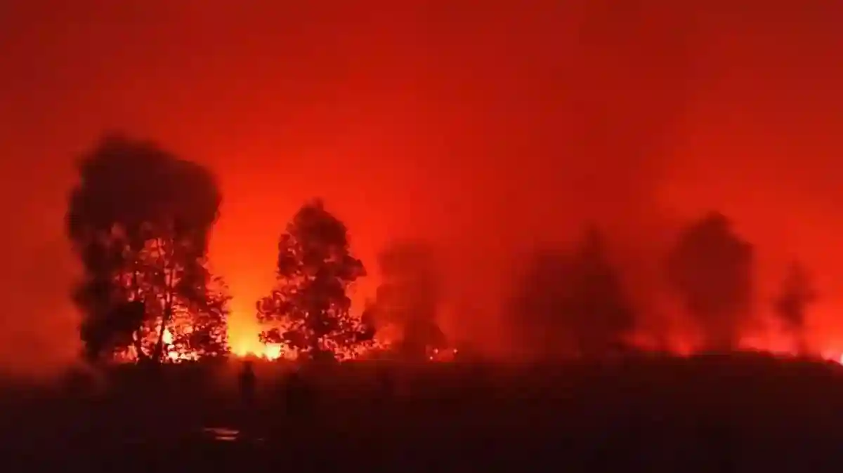 Kebakaran Lahan Dekati Jalur Satwa di Way Kambas, Petugas Lakukan Pemadaman