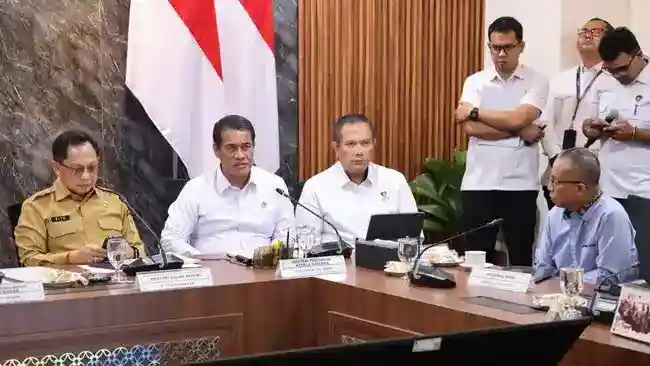 Harga Singkong Diklaim Naik Setelah Impor Dihentikan, Petani Jadi Fokus Kebijakan